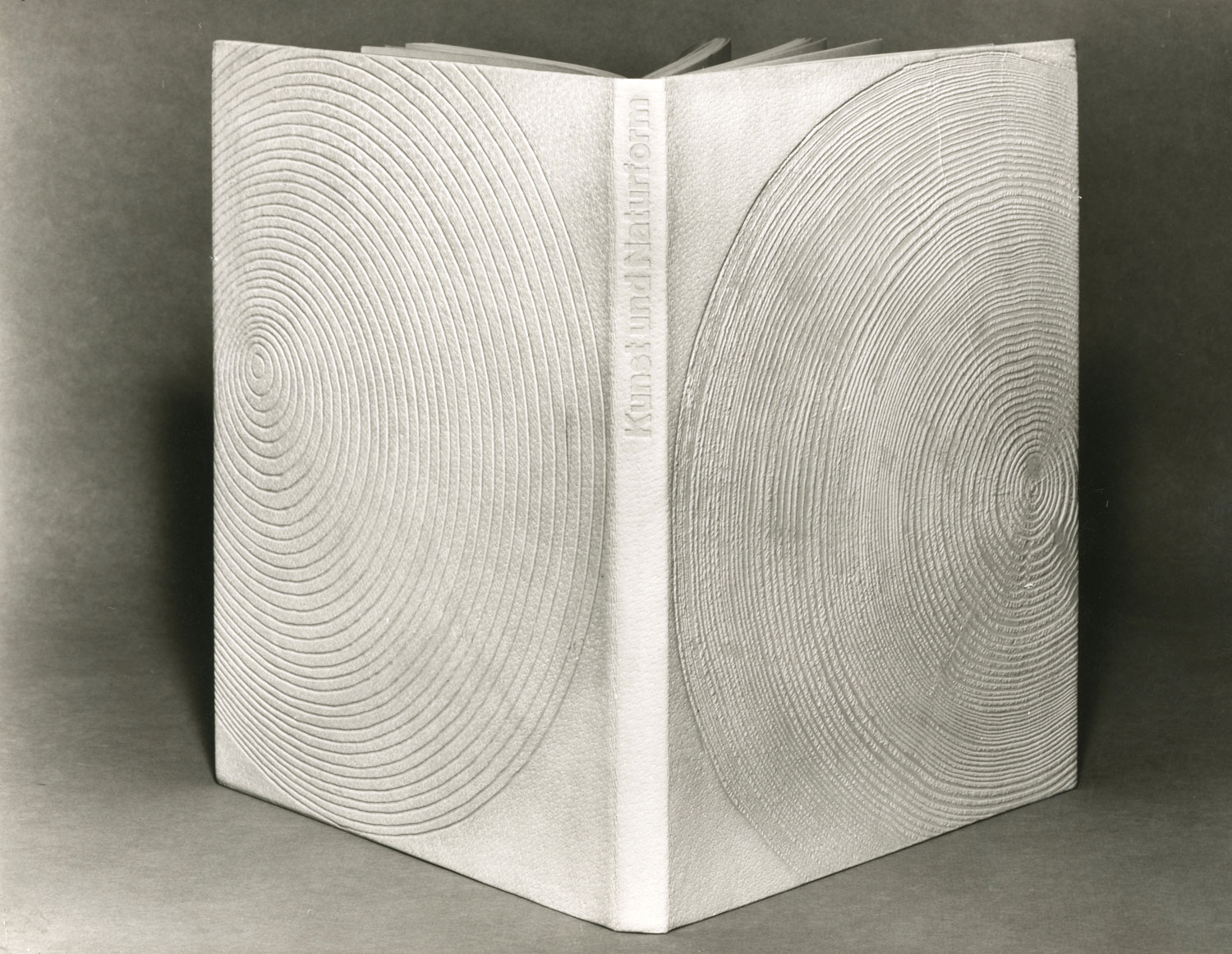 Einband Kunst und Naturform